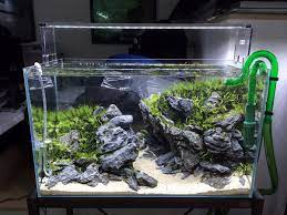 Jika ingin membuat aquarium sendiri, anda bebas membuat bentuk aquarium sesuai selera. Suka Pelihara Ikan Kamu Harus Tahu Cara Membuat Aquarium Sederhana Ini