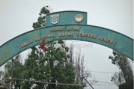 Setiap orang membutuhkan pas jauh berasal dari pekerjaan dan rumah terhadap peluang untuk isi ulang. Cemoro Lawang Gerbang Taman Nasional Bromo Tengger Semeru Teamtouring