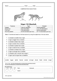 Tiger Vs Cheetah Worksheet Free Esl Printable Worksheets Made By Teachers Comparative Adjectives Writing Skills Teaching Jobs