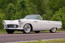 Image result for Snowshoe White 1955 Thunderbird