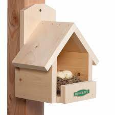 The brighter red the plumage of a cardinal is the more reproductive success he has. Duncraft Com Duncraft 3020 Cardinal Bird House