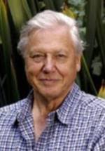 Над фильмом 60 минут работали, титры — oKino.ua