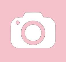 Pale Pink Camera Icon Camera Logo Pink Camera Ios App Icon Design