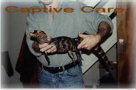 captive care