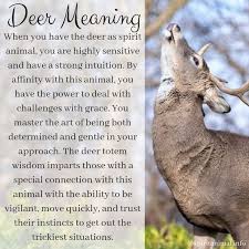 Your Daily Animal Spirit For February 1 Is The Deer Witches Of The Craft Animal Totem Spirit Guides Spirit Animal Meaning Animal Spirit Guides