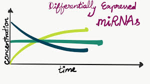 Throughout your treatment, we'll use imaging and laboratory tests to track the size of the tumors. Team Sastra Thanjavur Description 2019 Igem Org