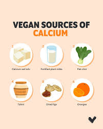 Image result for Calcium