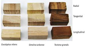 See more ideas about furniture, gmelina wood, furniture shop. Study Of Thermal Expansion And Compression Strength Of Three Wood Species From Plantations