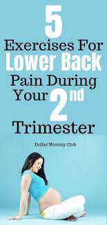 Pin On Pregnancy