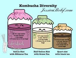 Kombucha Cheat Sheet Art Diversity With Pink Hibiscus Green Etsy Kombucha Flavors Kombucha Kombucha Recipe