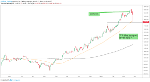 Palladium Drops To Support For Tvc Palladium By