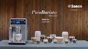 As with all electrical appliances that use water, your saeco espresso machine will start to build up calcium deposits or scale. Saeco Picobaristo Deluxe How To Descale Youtube