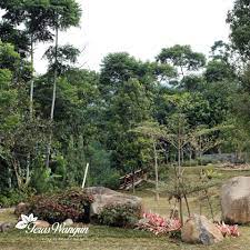 Teras Wangun Happy Weekend People Spend More Time In Facebook