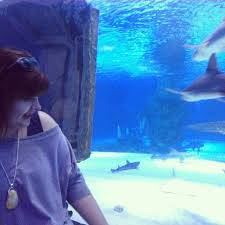 Aquarium Antalya Aquarium Shark Antalya Turkey Antalya