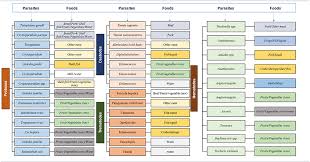 There are three categories of food contamination: Frontiers The Sources Of Chemical Contaminants In Food And Their Health Implications Pharmacology