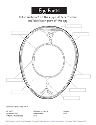 Check spelling or type a new query. The Egg Game University Of Illinois Extension Flip Ebook Pages 1 27 Anyflip Anyflip
