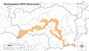 Gekeulte tiere in ungarn die vogelgrippe breitet sich immer weiter aus. Vogelgrippe Pravention Lebensressort Landesregierung Steiermark