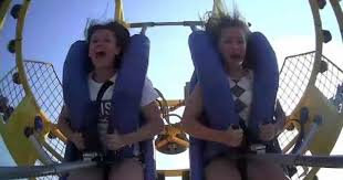 How can i trust you to do the challenge if you can't even fold paper correctly?foldyfoldy is a female contestant in battle for bfdi and the power of two who first appeared in getting teardrop to talk. Seagull Gives Girl On Sling Shot Ride A Face High Five Fail Blog Smile And Happy