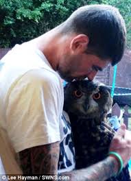 Tv14 • documentaries, health & wellness • tv series (2013). Beware The Eagle Owl Giant Bird Capable Of Eating Cats And Dogs Escapes From Aviary Sparking Warning Daily Mail Online