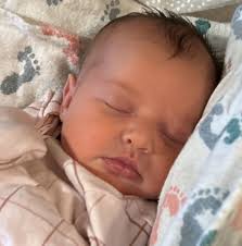 Who can move a trailer from north of Greenbush to Thief River this weekend?