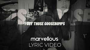 Скачивай и слушай travis scott goosebumps nghtmre remix и travis scott and kendrick lamar goosebumps на zvooq.online! Hvme Goosebumps Lyrics Youtube