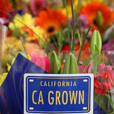 Avas florist is a professional florist offering flowers delivered. Greenleaf Wholesale Florist Inc Home Facebook