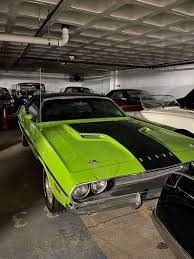 Image result for Frosty Green 1974 Challenger