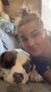 Saint Bernard Pitbull Mix