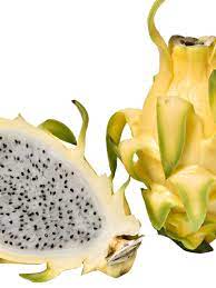 It is not grown in north america, which is why the plant is dragon fruit or pitayas are extremely unique plants that come in three different types that you can enjoy. Giant Hawaiian Yellow Dragon Fruit Cactus Hylocereus Undetus Urban Tropicals