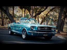Image result for Dynasty Green 1965 Mustang