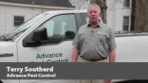 Our pest control company has been helping local residents with their pest problems for more than 55 years. Advance Pest Control 1628 Us 1 Hwy Youngsville Nc 27596 Yp Com