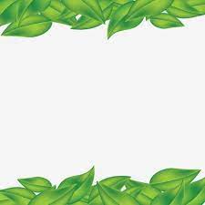 Green Leaf Frame Green Leaf Frame Png And Vector With Transparent Background For Free Download Flower Backgrounds Green Leaves Watercolor Flowers