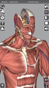 Science and technology are increasingly developing, the understanding of the human body is increasingly weak. 3d Anatomy Pro Apk Latest Version Download For Android Apkapps Org