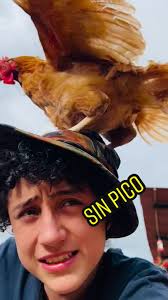 Exposición de Gallinas: Entrevista al Gran Campeón