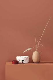 Pin By Lieke Meijers On Pantone Colors 2021 Trending Paint Colors Terra Cotta Paint Color Accent Wall Colors