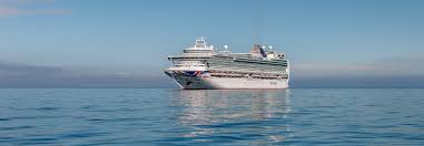 Or you can always opt for a chartered whale watching cruise around the monterey bay area and enjoy. Cruise Ships Shipping Vessels Can Now Earn A Whale Safe Label Instabumper