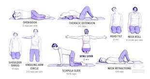 Pin On Exercise