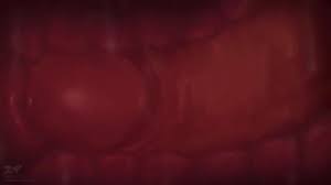 Agentredgirl all my roommates love 10 xxx