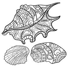 The turritella is a sea snail (a gastropod) that is abundantly found on. Amazing Seashells Coloring Page Free Printable Coloring Pages For Kids