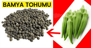 Sivi Kaybi Kireclenme Meniskus Ve Diz Agrilarina Son Gunde 10 Adet Normal Suyla Ac Karnina Uc Ay Hic Aksatma Natural Herbal Remedies Heath And Fitness Health