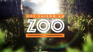 Je couvre de neige la terre. La Saison 6 D Une Saison Au Zoo Redemarre Date Et Heures De Diffusion