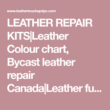 Leather Repair Kits Leather Paint Refinishing Leather