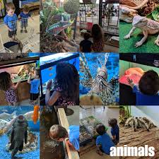 Listening and reading mr wolf grade/level: Say Yes To The Kids And Have A Yes Day