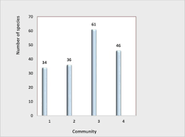 Image result for Pavetta rwandensis