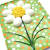 Easter Hard Boiled Egg Decorating Ideas