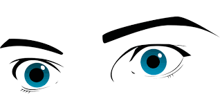 Check spelling or type a new query. 1 000 Free Eyes Cat Vectors