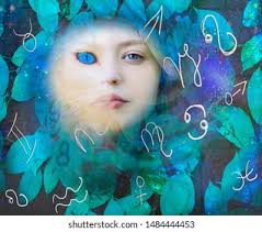 Fortune Cat Icon: Over 372 Royalty-Free Licensable Stock Photos