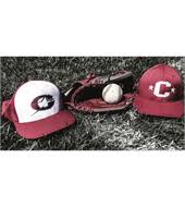 Corbin Little League > Home