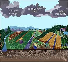 Pest control treatment is completely safe for all you family member from babies to senior citizen we have program for all kinds of insect/bugs which spreads disease. Frontiers Narrow And Brittle Or Broad And Nimble Comparing Adaptive Capacity In Simplifying And Diversifying Farming Systems Sustainable Food Systems