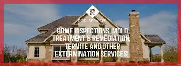 Rodi Services, Llc
